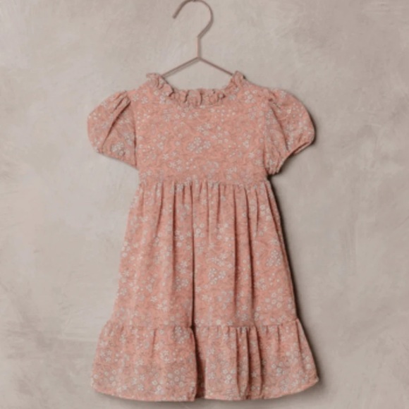 New Noralee Rose Fleur Wendy A-Line Dress - toddler sizes - Picture 1 of 3